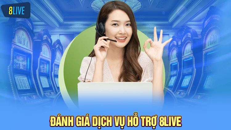 Câu hỏi thường gặp và đánh giá dịch vụ hỗ trợ 8Live