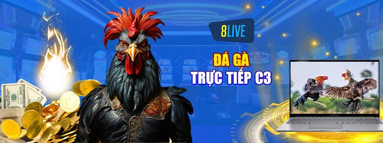 Đá gà trực tiếp C3