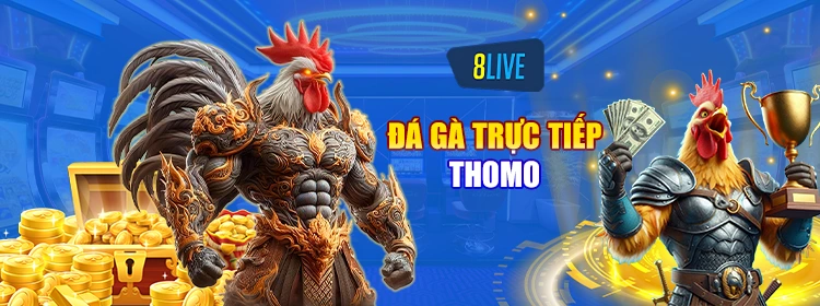 Đá gà trực tiếp thomo