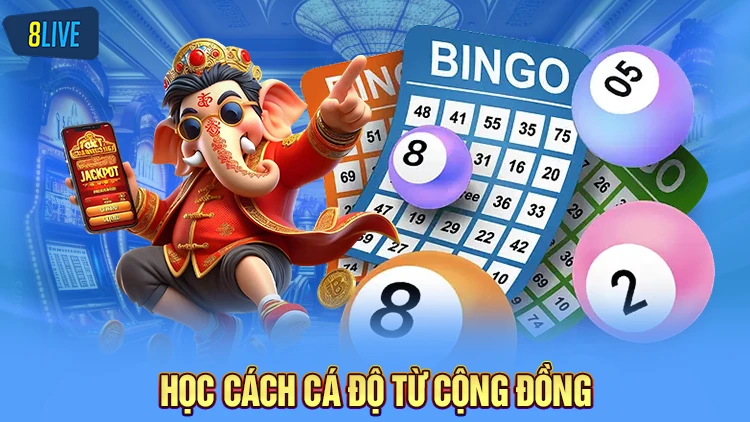 Vận dụng thêm phần mềm hỗ trợ soi cầu khi chơi