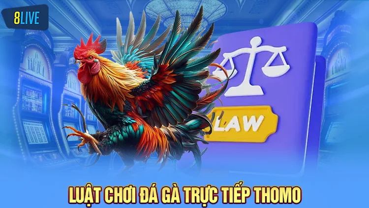 Khám phá chi tiết luật chơi đá gà trực tiếp thomo