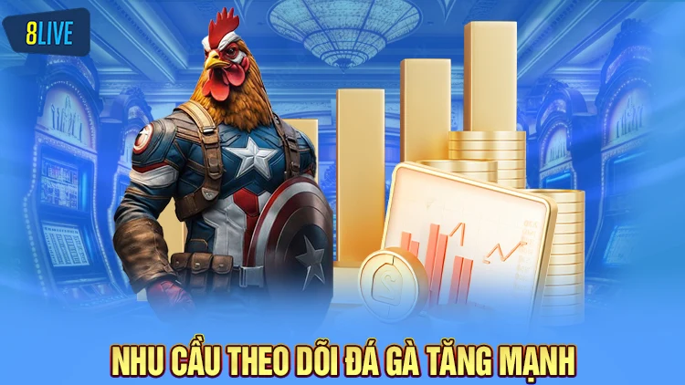 Theo dõi đá gà trực tiếp trên các địa chỉ khác