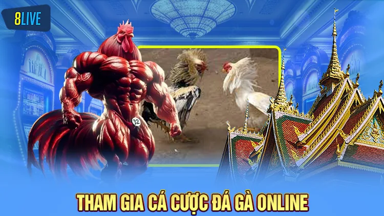 Tham gia vào địa chỉ uy tín để cá cược đá gà online