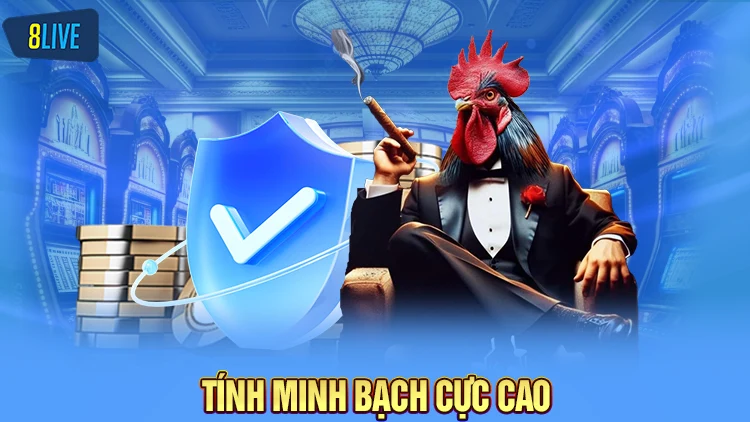 Tính minh bạch các trận đá gà cực cao