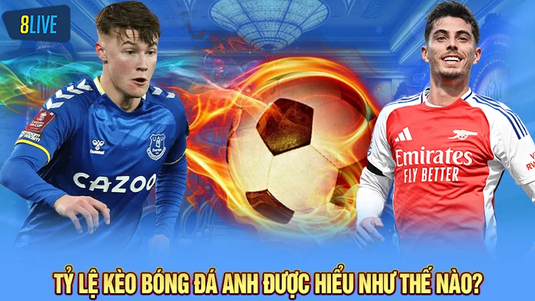 Tỷ lệ kèo bóng đá Anh