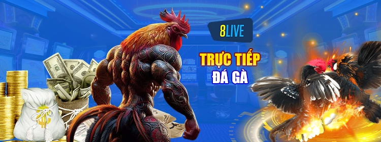 Trực tiếp đá gà